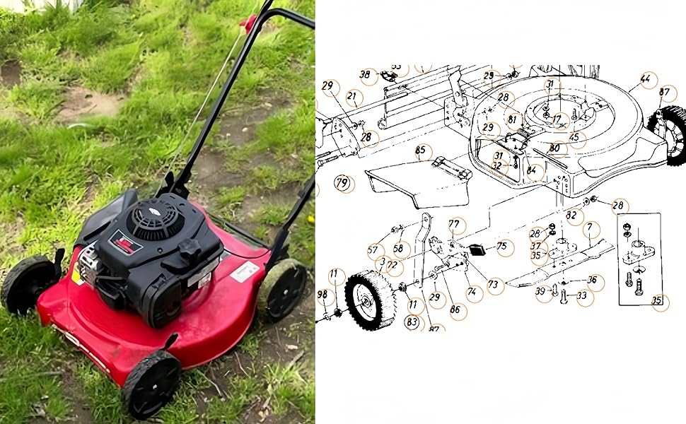 8e5d0533-c079-436e-8ca8-bc12d7575ada